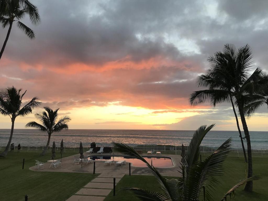 ***Serendipity On The Moana - Legal & Oceanfront - Great For Work & Play!*** Waianae Esterno foto